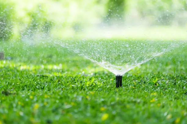 Lawn Care Services