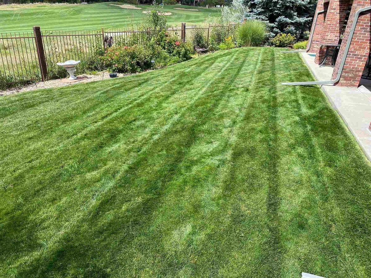 Weekly Lawn Mowing