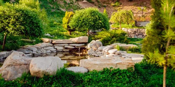 Custom Yard Design