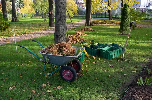Landscaping & Outdoor Construction