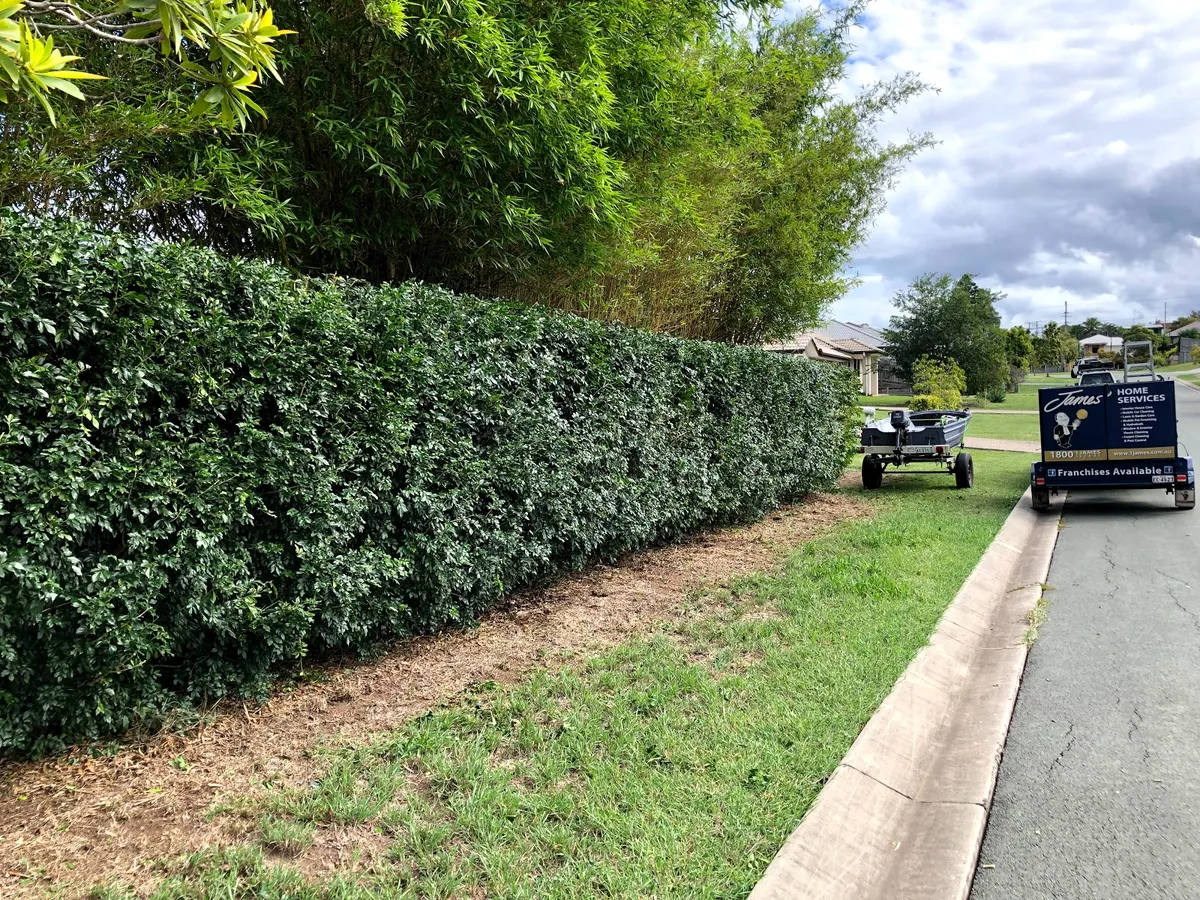 Lawn Mowing