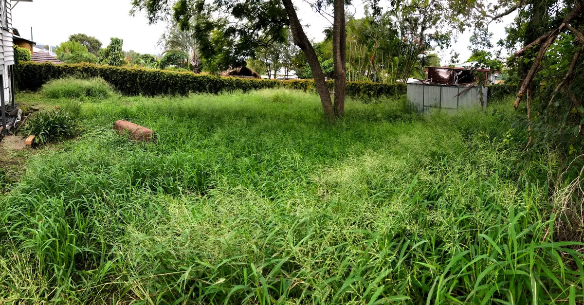 Hedge Trimming
