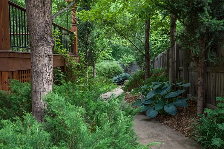 Landscape Design