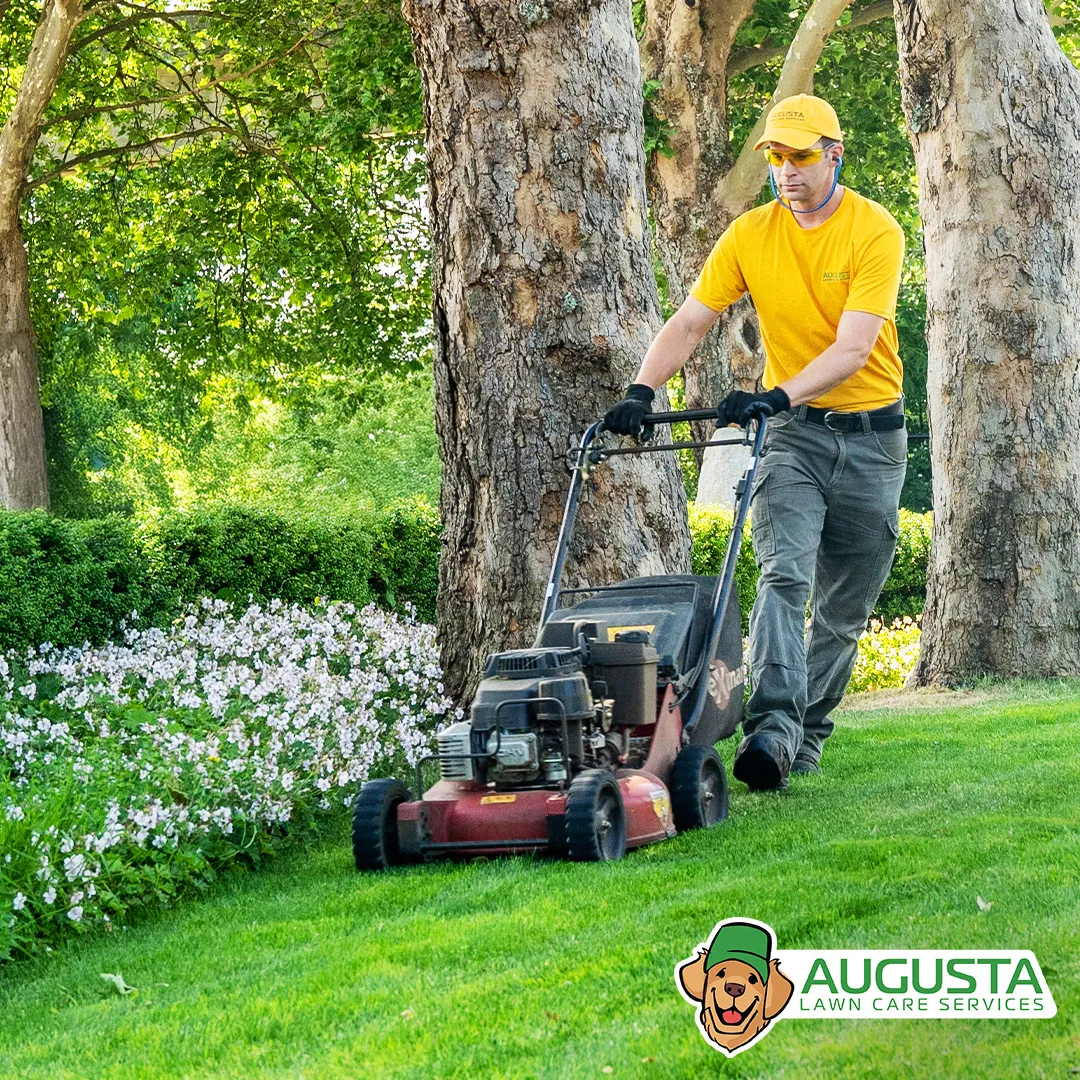 Lawn Care