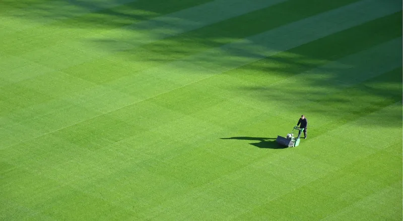 Landscaping project 5