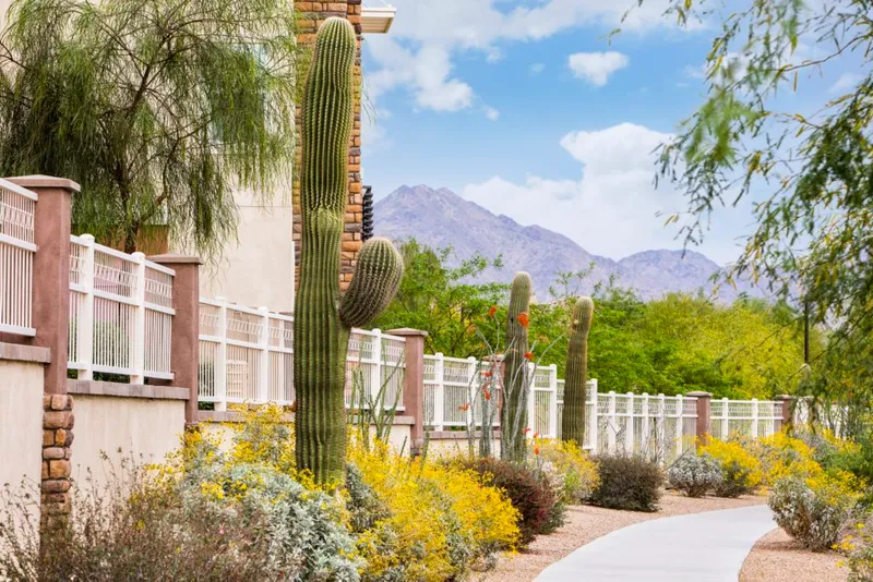 Sierra Sun Landscaping team at work