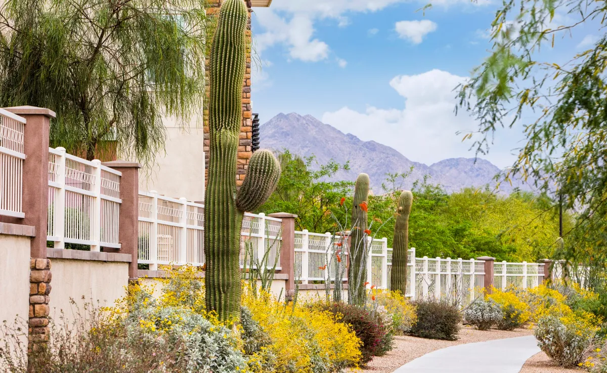 Landscaping Design