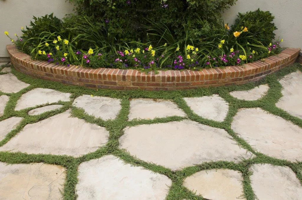 Soil and Compost