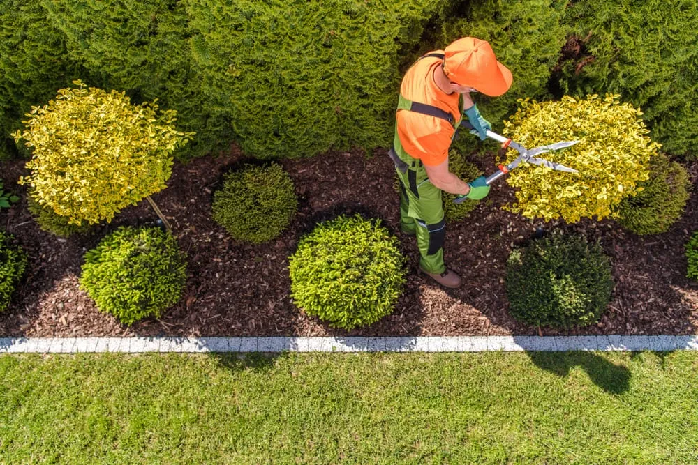 YMS Landscaping team at work