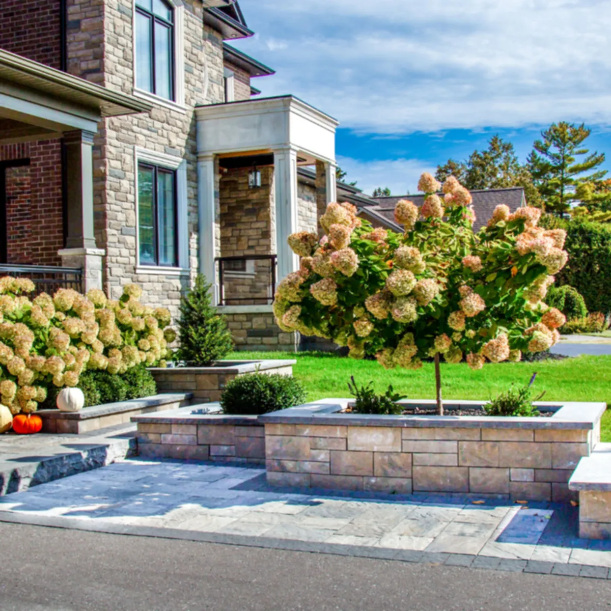 Hardscaping Installation