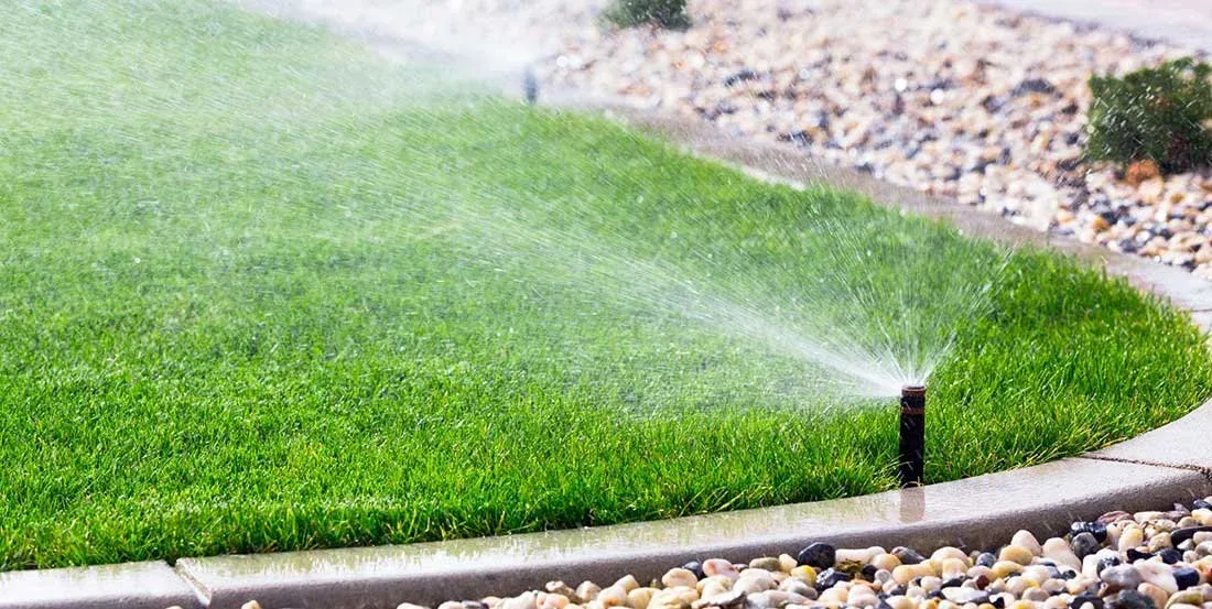Custom Landscape Design