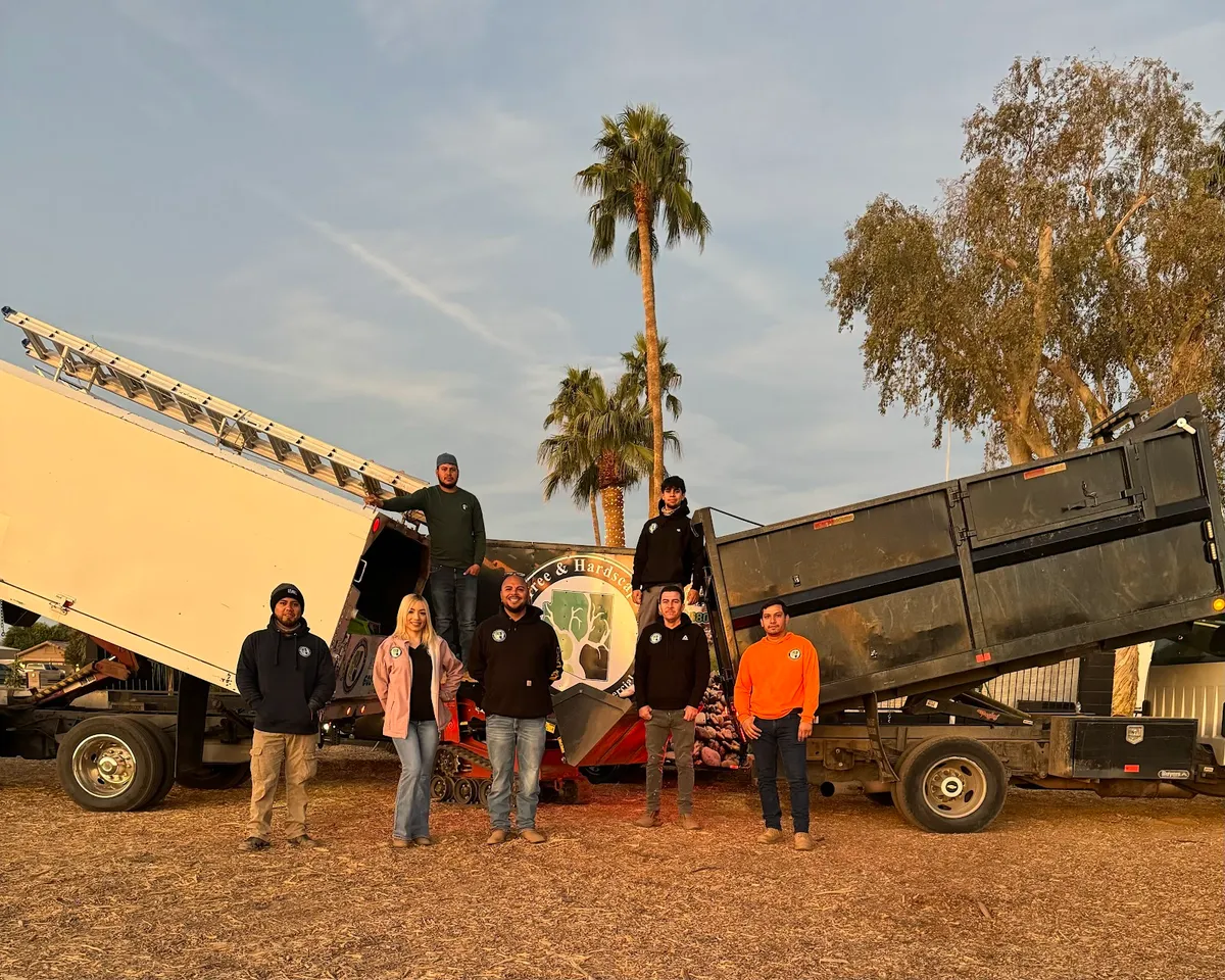 AZ Tree & Hardscape Co team at work