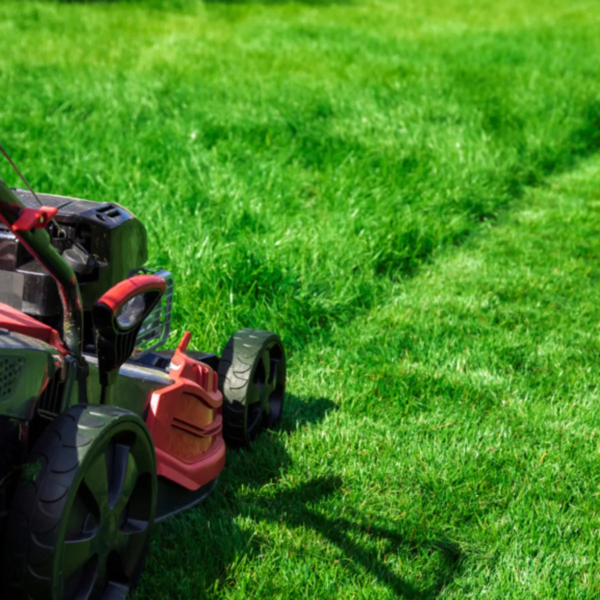 Lawn Mowing
