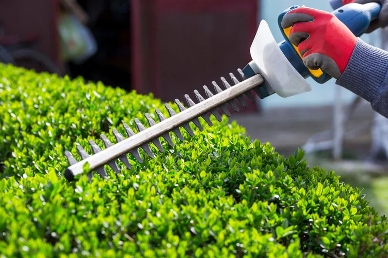 Lawn Edging