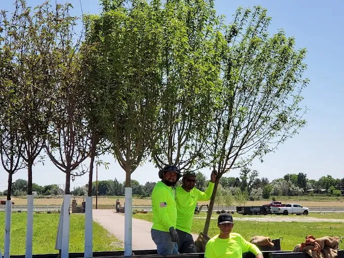 Lance Landscaping LLC team at work