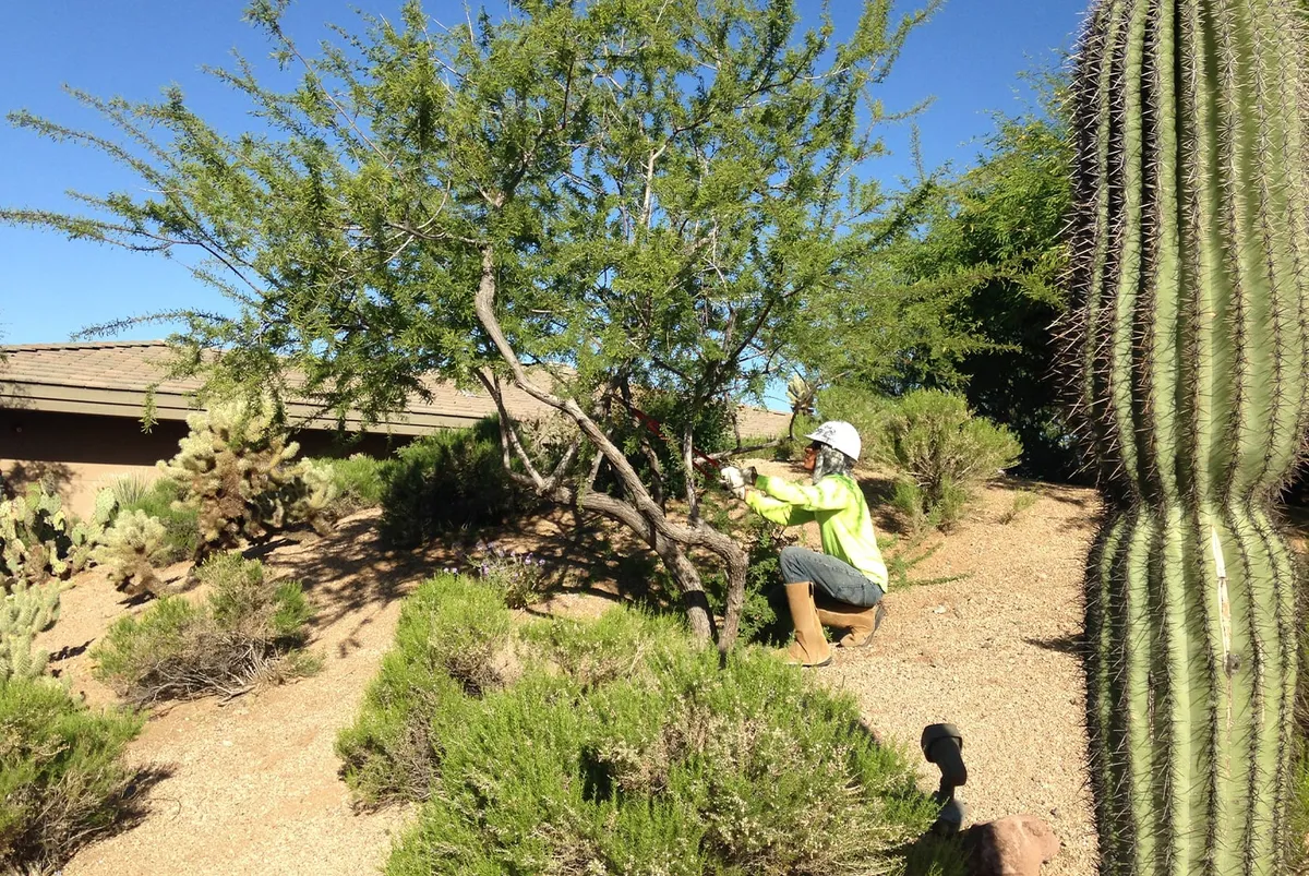 DLC Resources Landscaping team at work