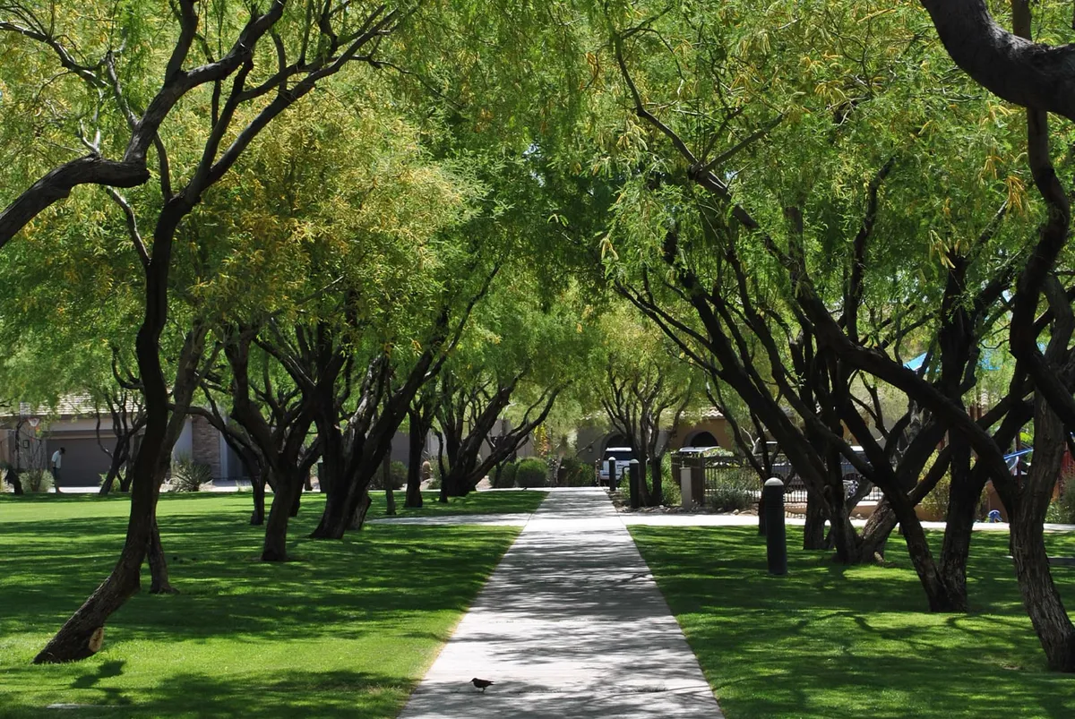 HOA Landscape Maintenance