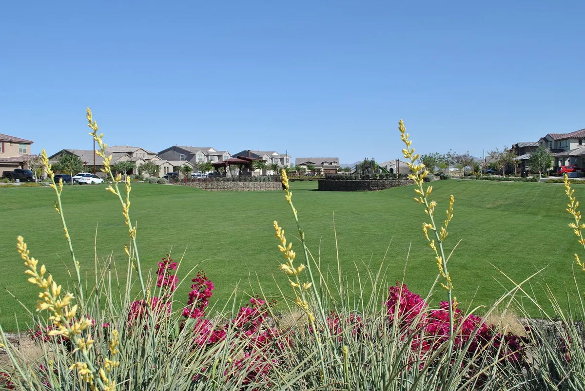 Irrigation Management