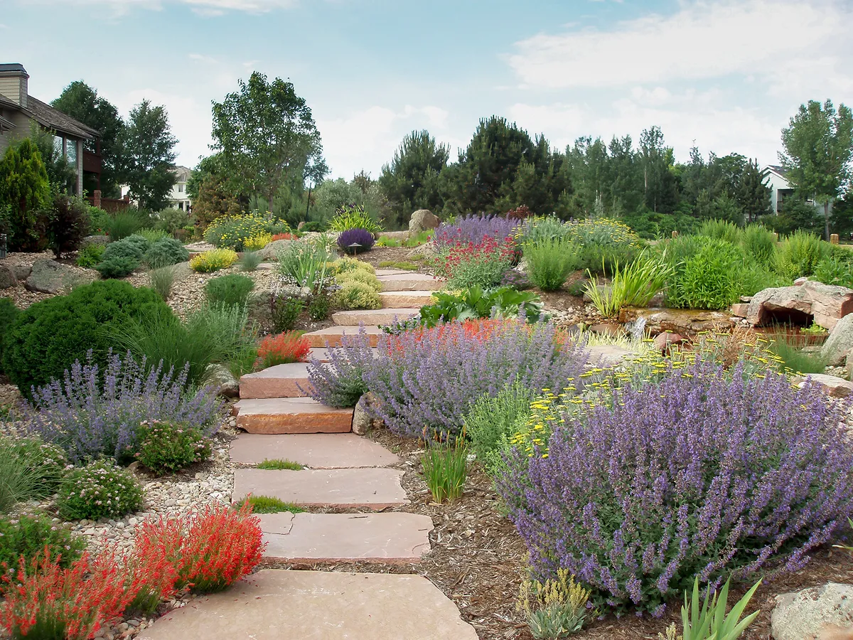 Landscape Solutions