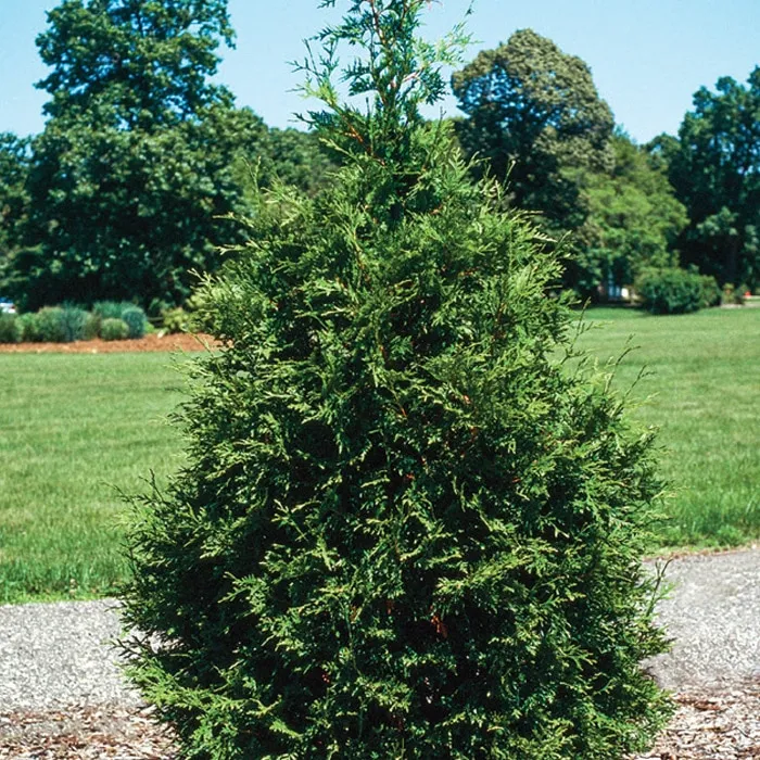 Landscape Materials Supply