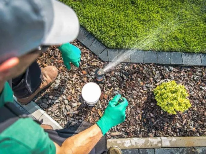 Lawn Maintenance