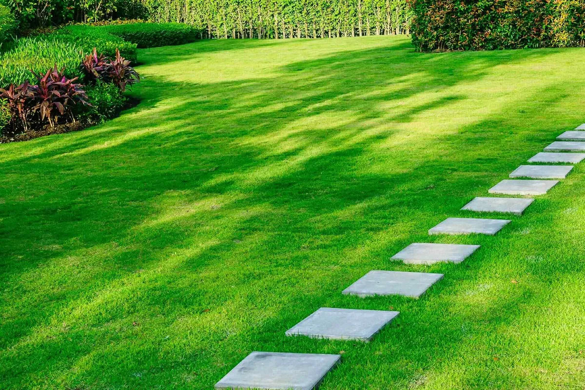 Fertilization Services