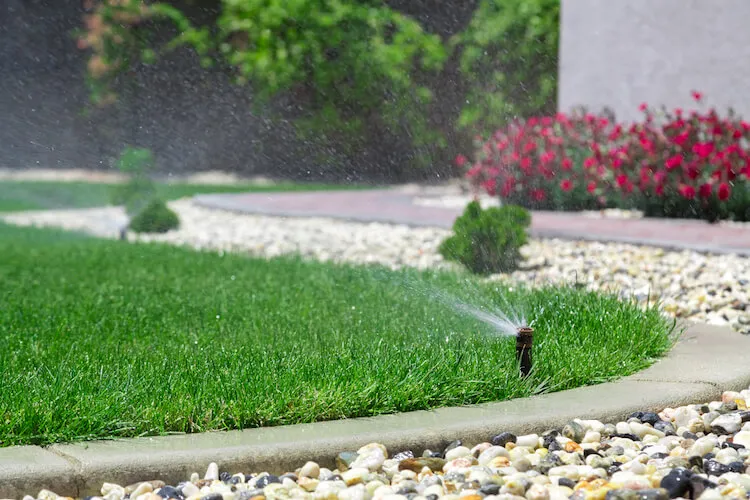 Lawn Maintenance