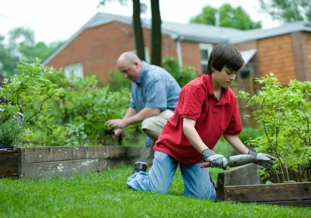 ISR Gardening Inc team at work