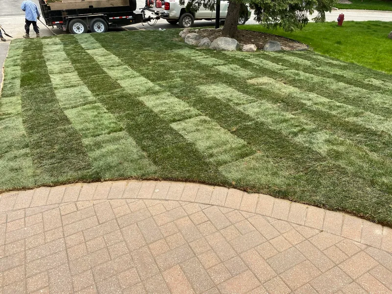 Landscape Design