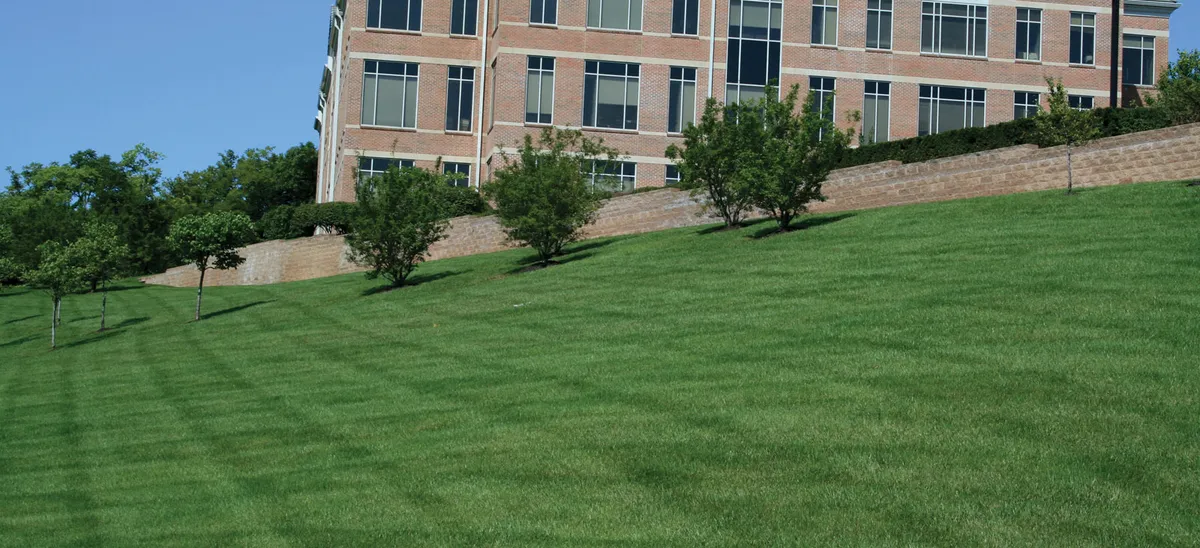 Weed Control