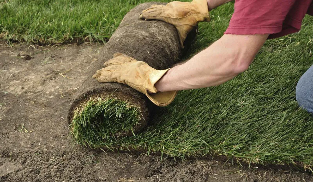 The Sod Guy team at work