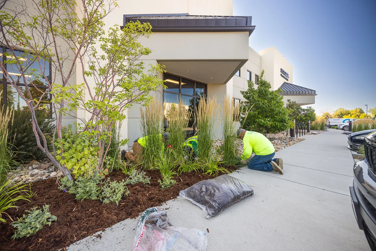 LID Landscapes team at work