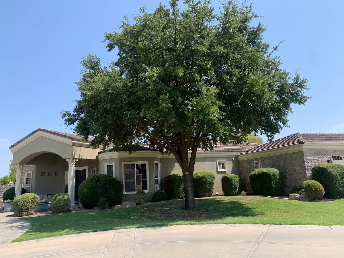 Lawn Maintenance