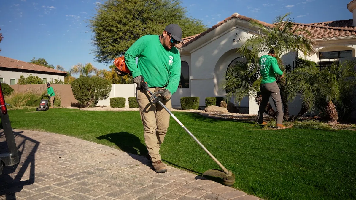 Yard Maintenance
