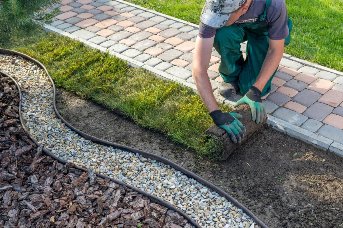 Landscape Design