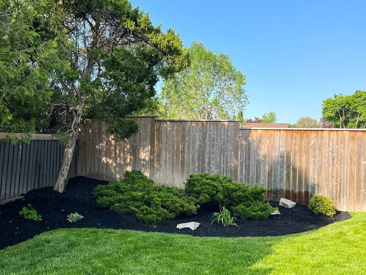 Lawn Maintenance
