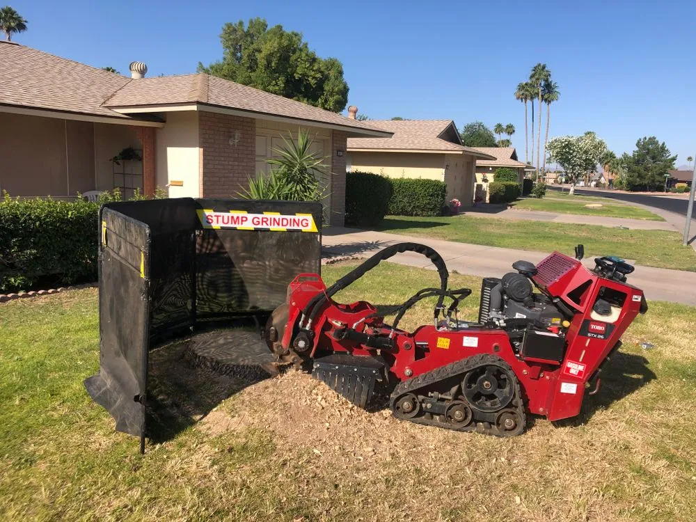 Tree Removal