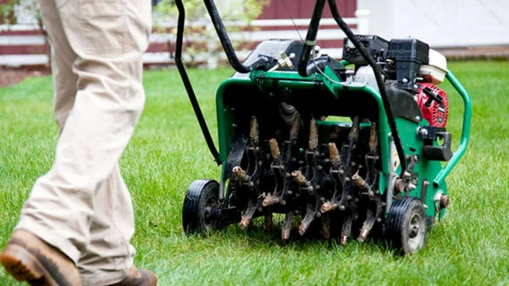 Fertilization & Weed Control