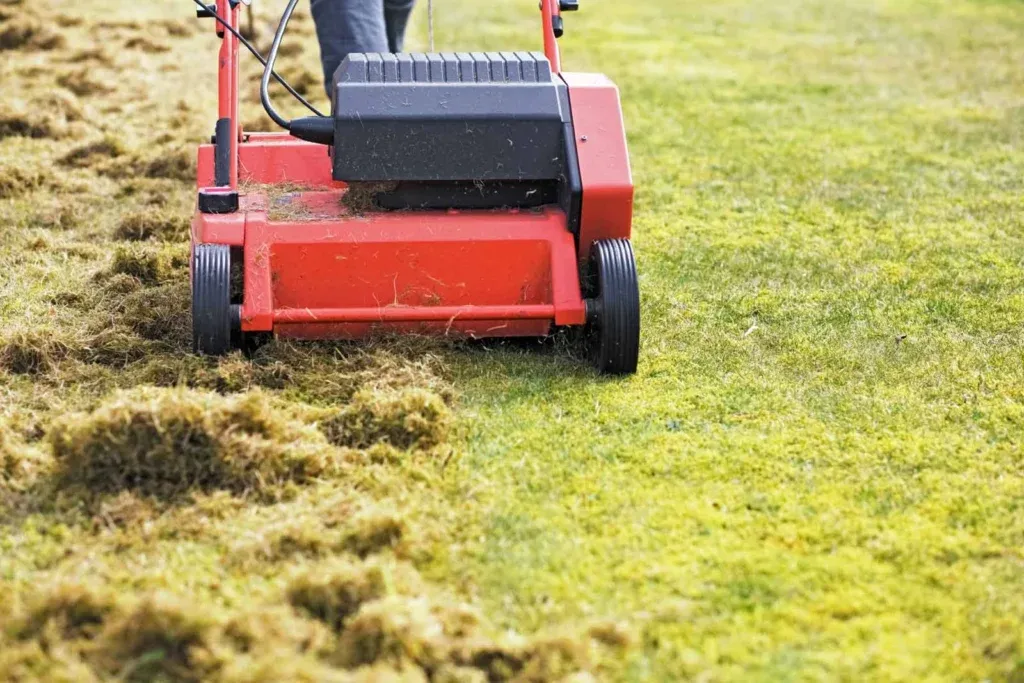 Core Aeration