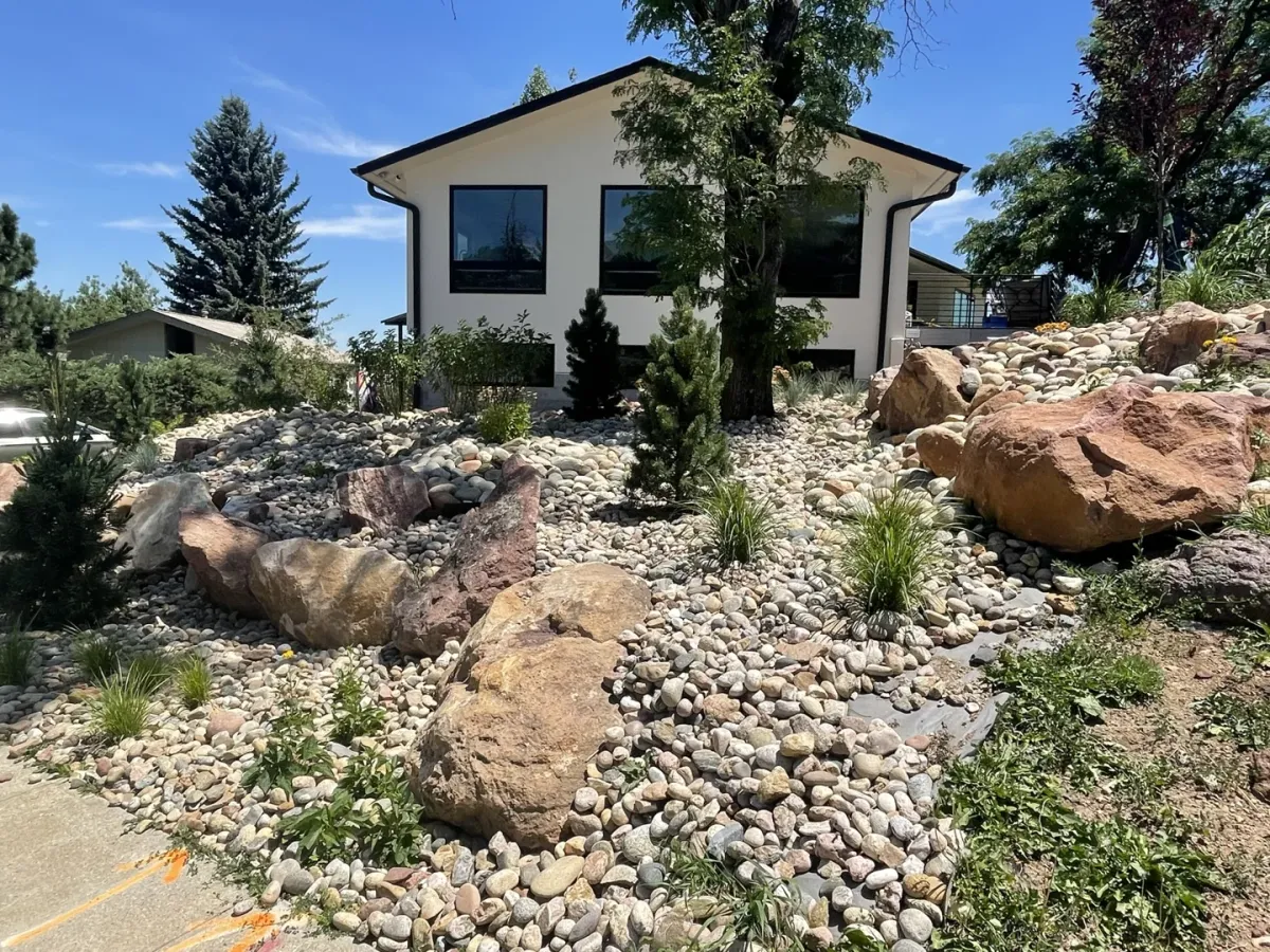 Xeriscape Design
